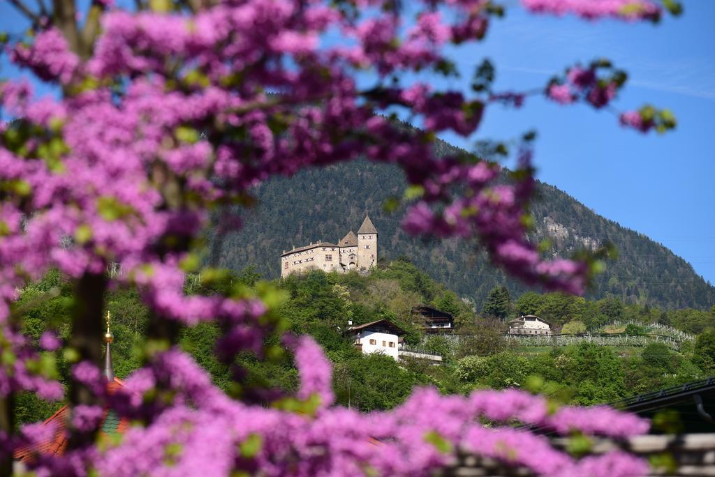 Pension Stamserhof Наллес Экстерьер фото